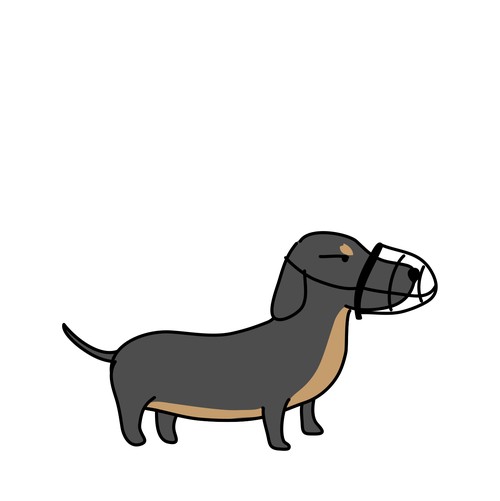 Dachshund