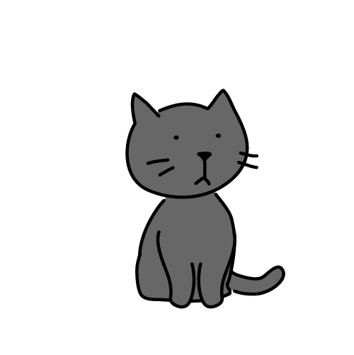 Korat Cat