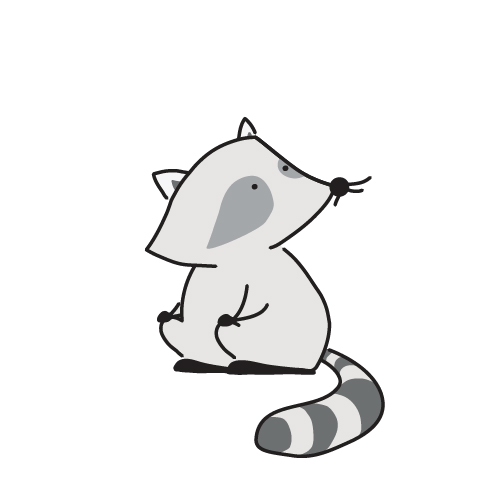 Raccoon